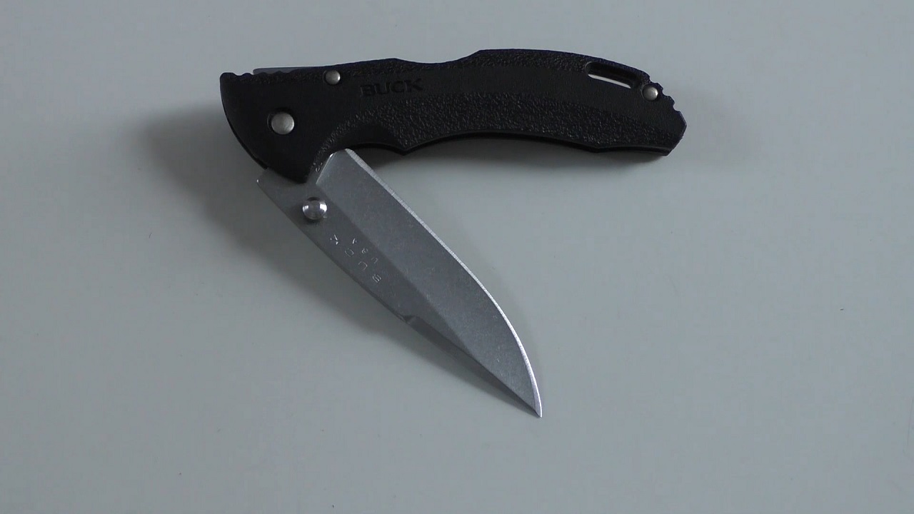 Buck Knives Bantam BLW