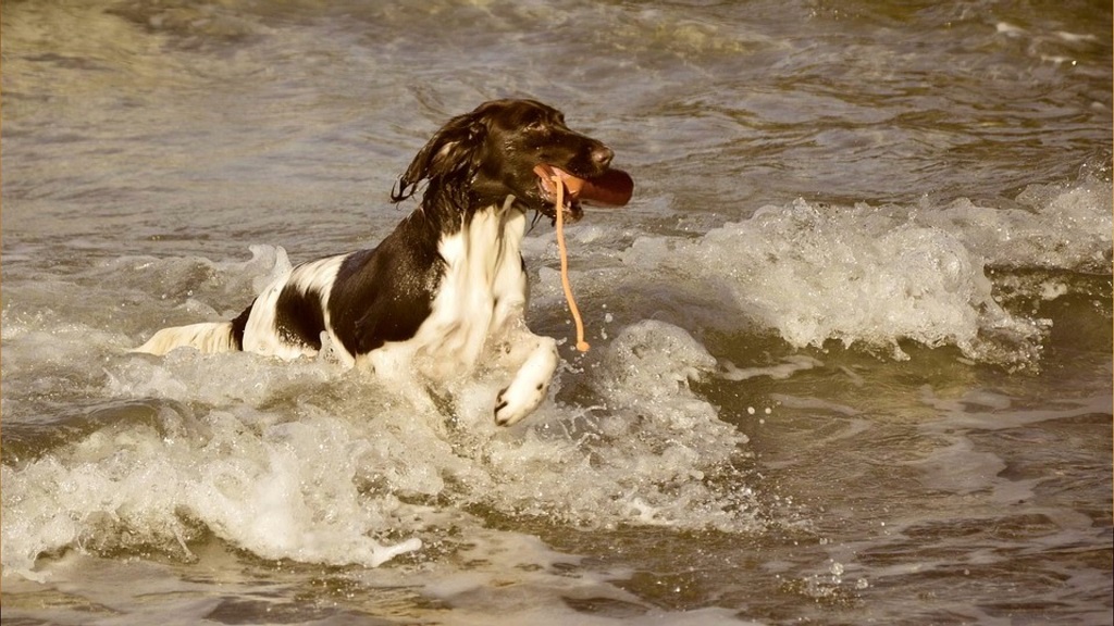 Water training with equipment