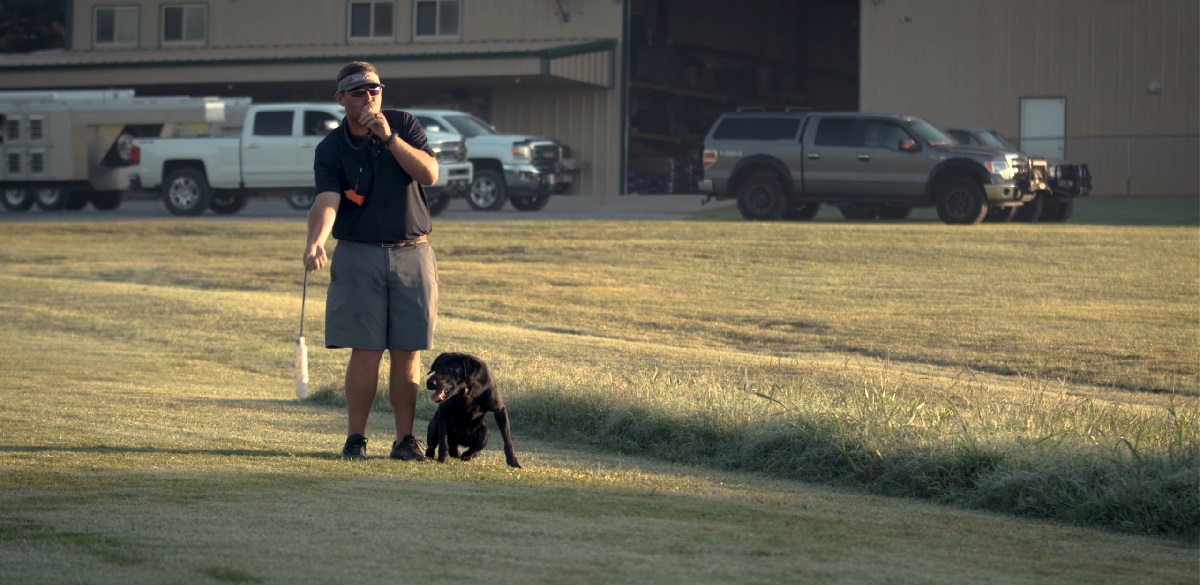 Bird dog training