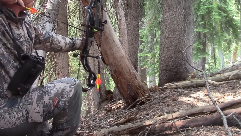 A Hunter Drawing a Compound Bow in The Forest with Arrows Ready