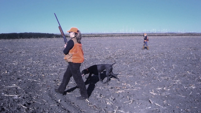 A Hunter with A Rifle and A Black Labrador Train for Advanced Tracking in An Open Field