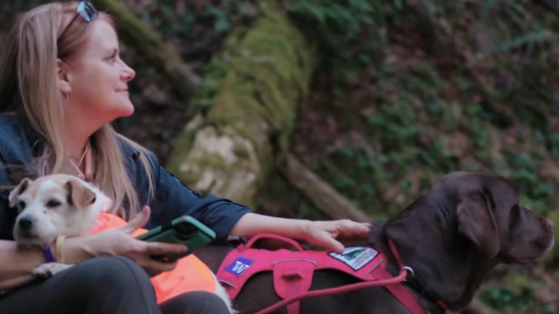 A Woman Sits in A Forest with A Small Dog and A Harnessed Conservation Dog